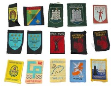 UK Scout Badges Essex Districts x15 Single & Ribbon cloth Part 2 extinct + +