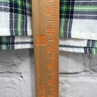 Bild 11 von 15