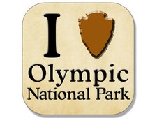 4" i love heart olympic national park arrowhead sticker made in the usa