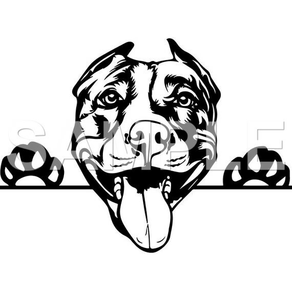 Pit Bull Vinyl Decal Car Truck Window Sticker (choice of 1