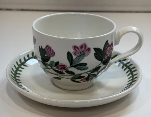 Portmeirion Botanic Garden Tea Cup And Saucer Set Lepidotum Rhododendron