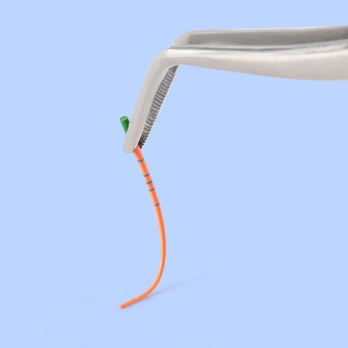 600 Stück Dental Gutta Percha Punkte Eodontie Verstopfungspunkte F1 F2 F3 & Skala - Bild 5 von 15
