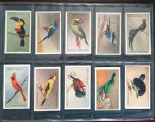 GALLAHER-FULL SET- ZOO TROPICAL BIRDS 1928 (1ST SERIES 50 CARDS)