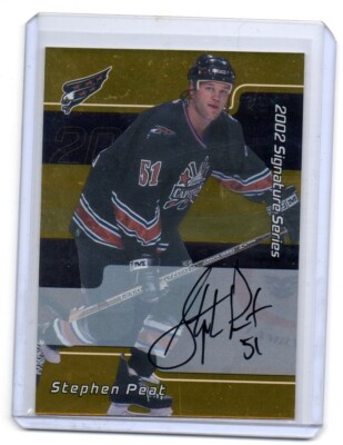 CARTE DE HOCKEY 2001-02 BAP Signature Series Maple Leafs #124 Alyn McCauley EUR 1,64 - PicClick FR