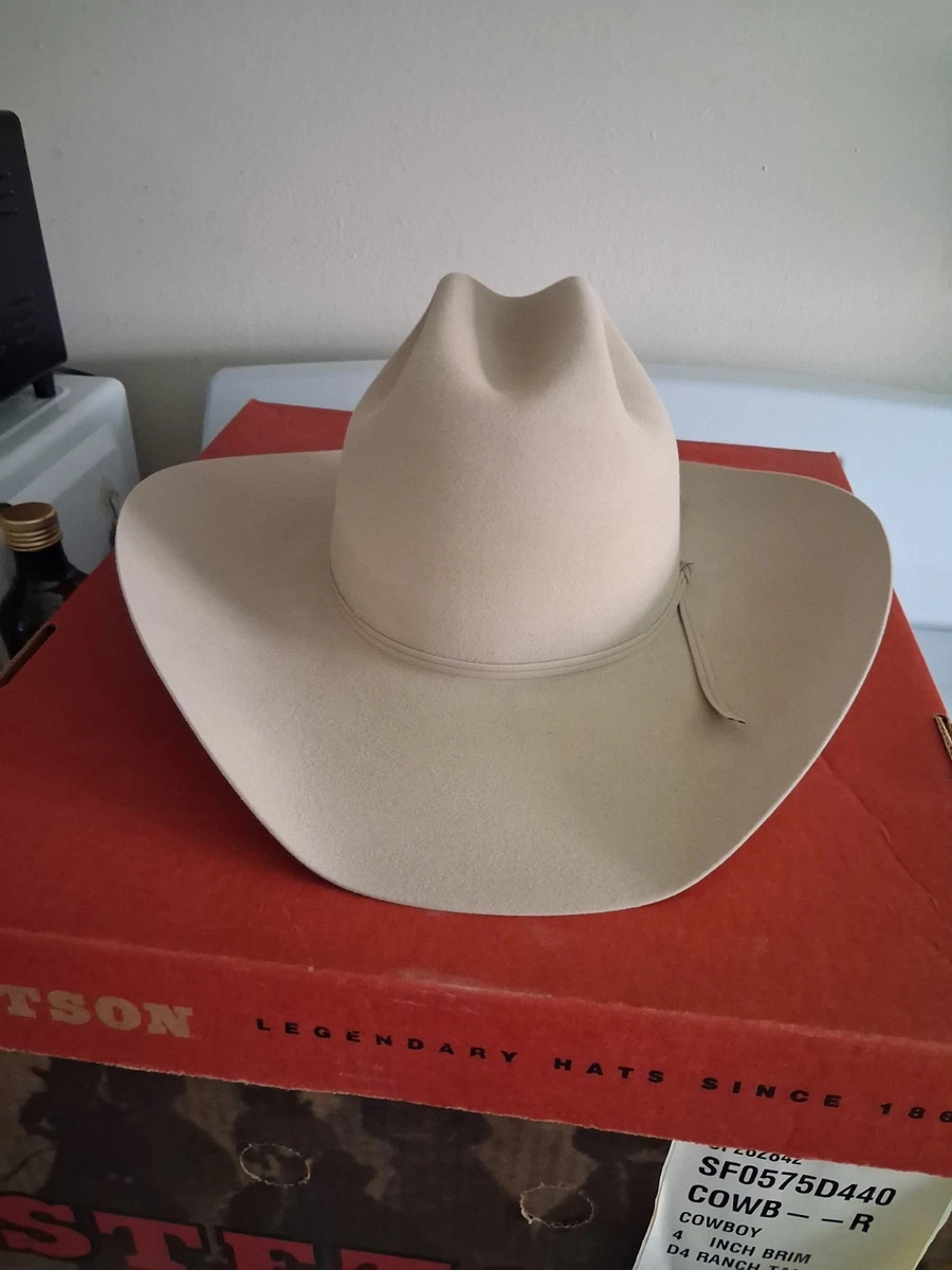 Stetson Men's 6 7/8 Size for sale | eBay