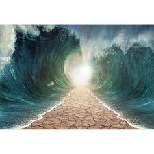 Moses Divided Sea Pathway Backdrop 7x5ft for Church Religious Events