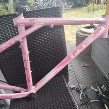 Medium Gt woman