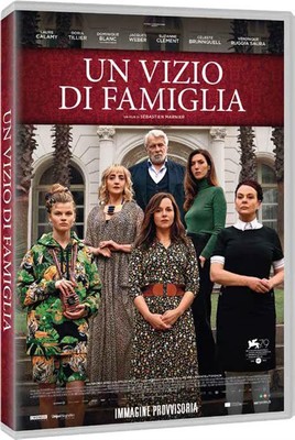 Vizio Di Famiglia (Un) (Regione 2 PAL) - Sébastien Marnier