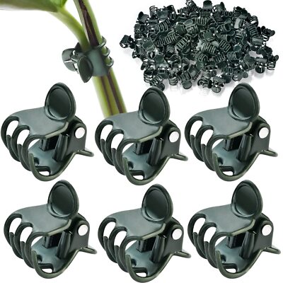 Clips de orquídeas vegetales de 100 pcs de soporte de jardín clips de vid