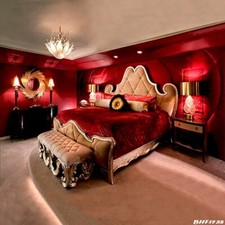 10'x10' Bedroom/indoor Computer-painted Scenic Photo Background Backdrop BHF1738