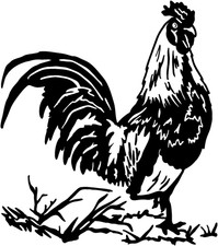 Chicken/Rooster STB2 Vinyl Decal Die Cut Farmyard Animal Graphic for Truck Car