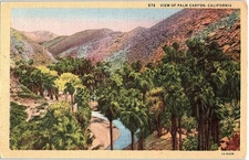 Postcard MOUNTAIN SCENE Palm Canyon California CA o/19 AI1435