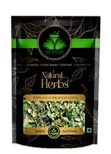 SAI HERBS Periploca of the Woods Leaves - Good for Healthy Lifestyle