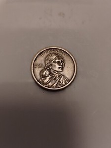 2010 P Native American Dollar Coin +9 Old Pennies.