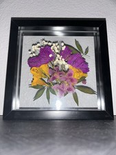 Framed Dried Flower Arrangement with Purple, Yellow, White Flowers and Leaves