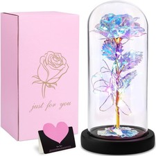 Rosa Eterna Incantata sotto Cupola con Luci LED Bianca Regalo San Valentino
