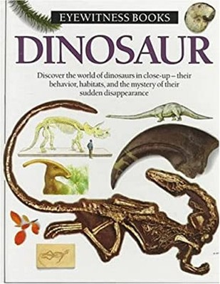 Dinosaur David, Miller, Angela, Dorling Kindersley Publishing Sta