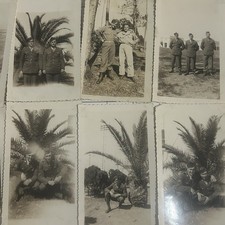 WWII US Army Soldier Snapshot Photo Lot x10 Palm Trees Training Base