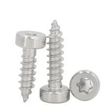 304 Stainless Steel Torx Cap Head Self Tapping Screws With Low Head M2 - M6