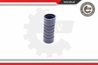 Esen SKV Ladeluftschlauch Passend FüR Ford Fiesta V Jh_ Jd_ 1.4 Tdci 24SKV728