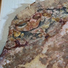 Coprolite Slab Mexico, pink and tan color 6 1/2" x 5 1/4" x 1/4" 9.2OZ.