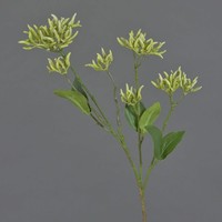 Artplants Deko Zweig Hartriegel Zweig Josia, Weiß-GrüN, 50Cm
