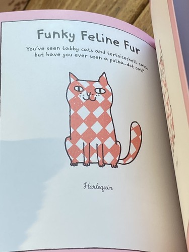 DOODLED CATS for CAT PEOPLE, Gemma Correll 2018 Doodling Ideas Drawing Technique - Picture 8 of 11