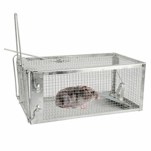 1-3x Live Humane Cage Trap For Squirrel Chipmunk Rat Mice Rodent Animal Catcher - Picture 7 of 10