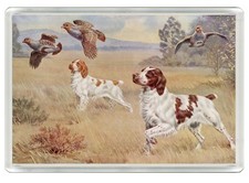 BRITTANY SPANIEL DOG FRIDGE MAGNET GREAT GIFT