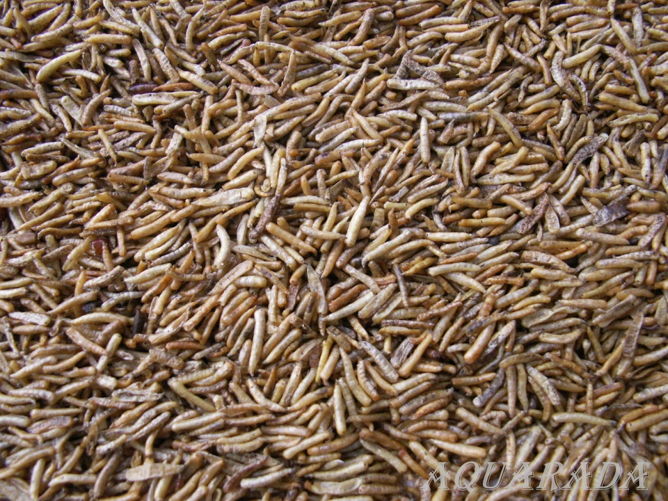 AQUARADA 1Liter Fliegenlarven getrocknet Maden Koifutter Nagerfutter Reptilienfutter