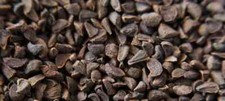 Seeds Harmala Harmal Peganum Seed Grams Wild Isband Lahouri Hindi 200 g     