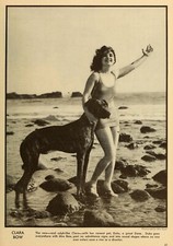 Clara Bow with her Great Dane Dog - 1929 - 4 x 6 inch Photo Print