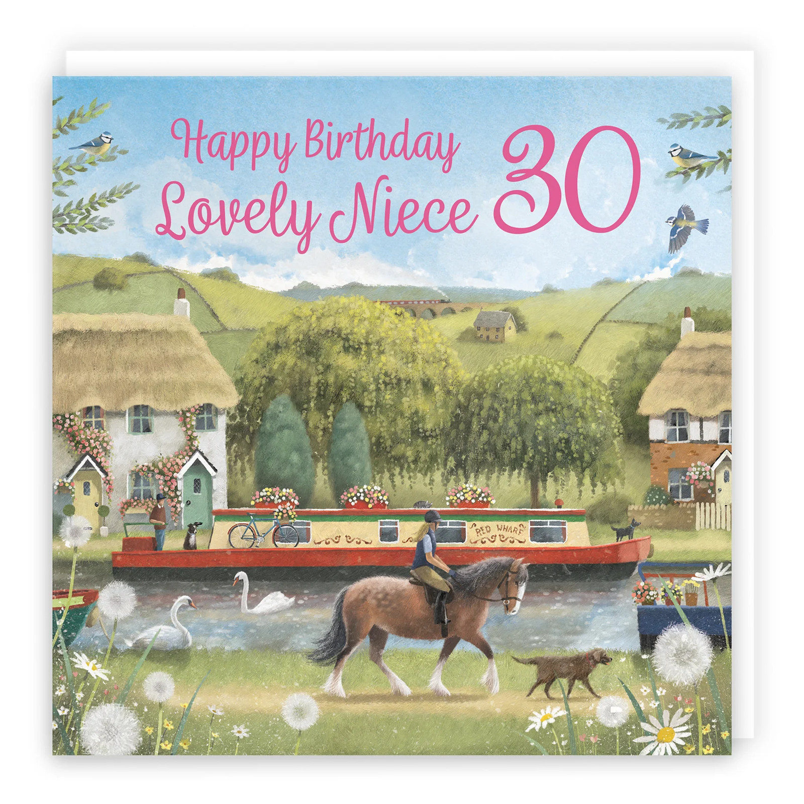 30th Niece Canal Narrowboat Birthday Card Horse Riding Milo's Gallery