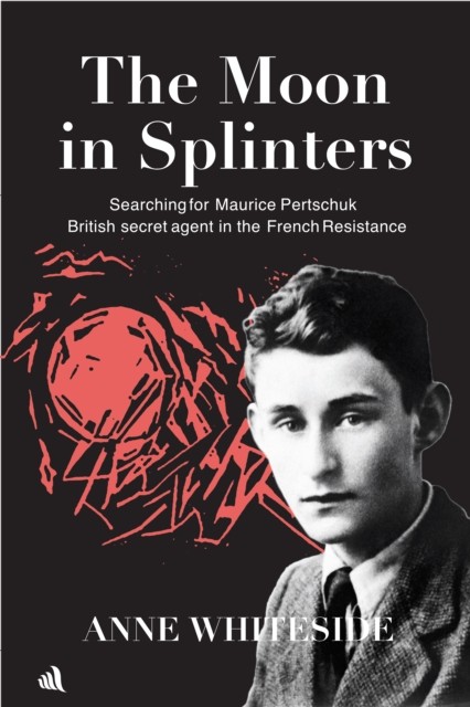 Moon In Splinters