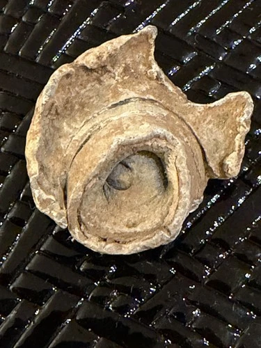 Civil War Confederate Gardner Direct Hit Bullet Recovered Richmond Virginia