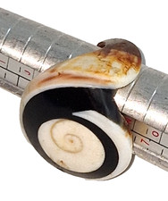 Handmade Carved Shell Ring Size L / 6 Artisan Natural Shell Designer Style