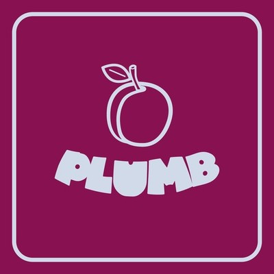 Plumb Ray Angry / Questlove / David Murray [LP record]
