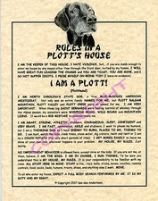 Rules In A Plott's House