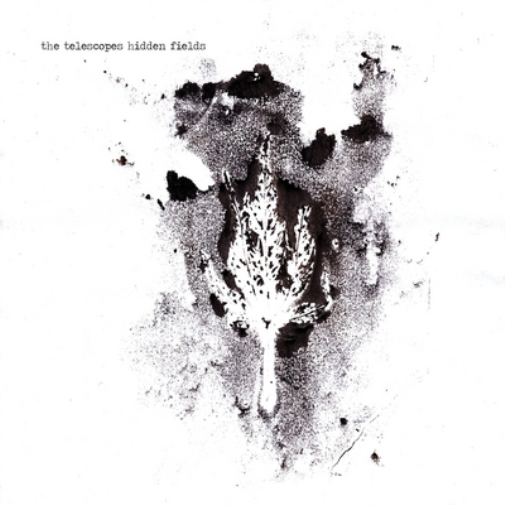 The Telescopes Hidden Fields (CD) Album