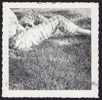 FOUND PHOTO Puppy Head & Legs Out of Frame Cut Off Abstract 50s B&W Snapshot VTG