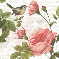 "20 Servietten\"Sophie\"Vogel Nostalgie*Brief*SchriftzüGe Rosen*33X33 Schmetterling"