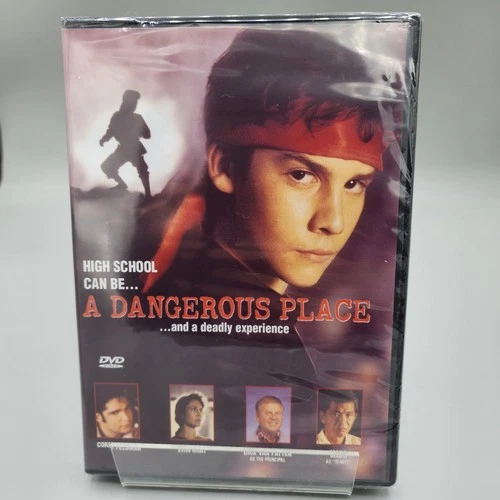 A Dangerous Place (2003 DVD) – Action Thriller – New