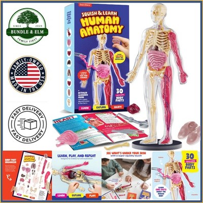 Interactive Anatomy Model for Kids with Realistic Body Parts and Learning Guide