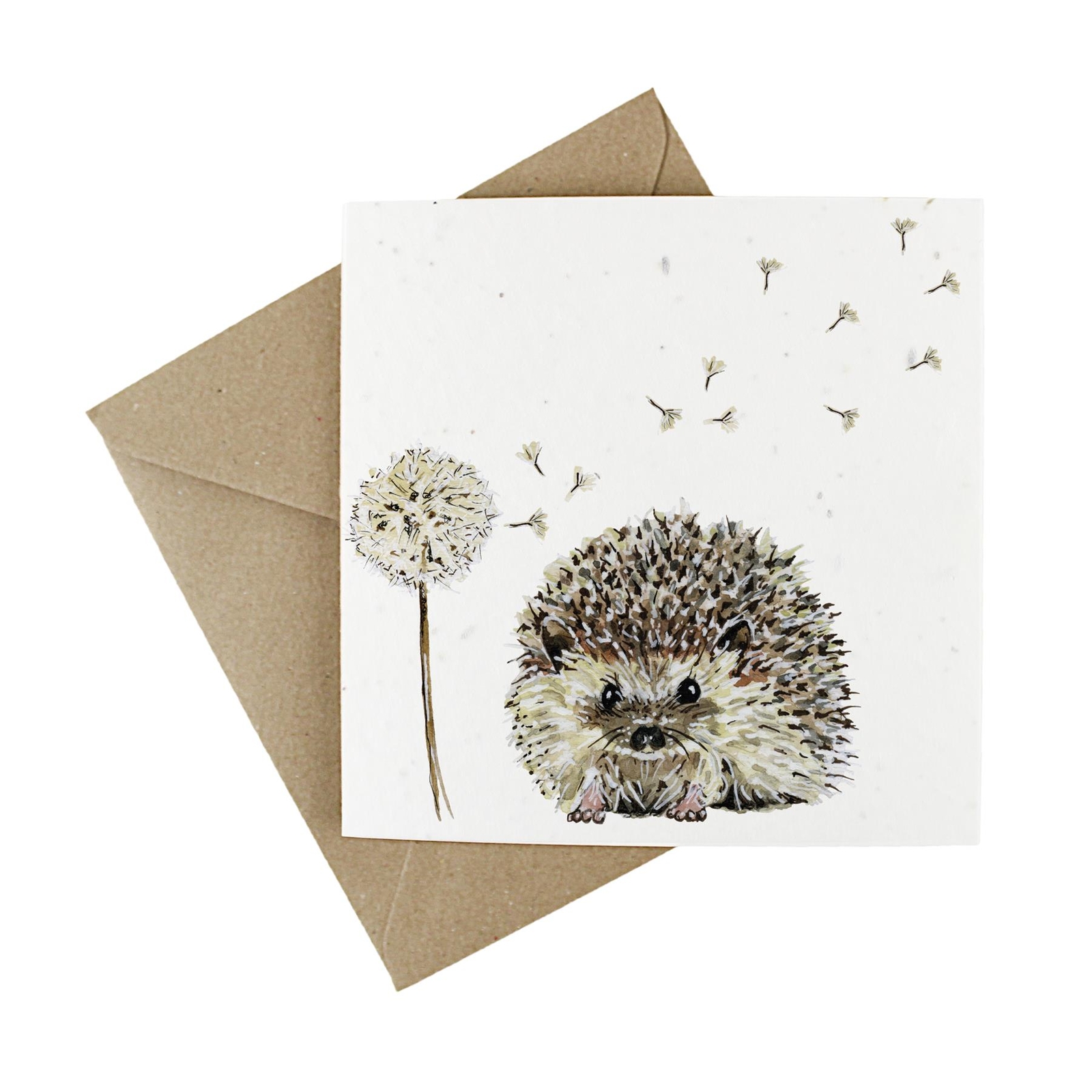 Wildflower Plantable Eco-Friendly Greetings Cards - Hedgehogs - 10 Pack