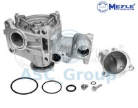 Meyle Ersatz MotorküHlung KüHlmittel Wasserpumpe 013 026 1700