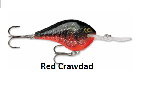 Rapala DT06 Dives To 6 Crankbait - Choice of Colors | eBay