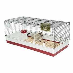 white guinea pig cage