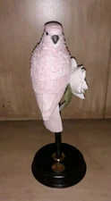Rare VTG Willitts Galleries Tropical Splendors Limited Edition Bird On Stand