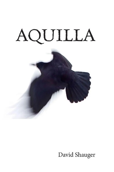 Aquilla David Shauger Taschenbuch Kartoniert / Broschiert Englisch 2015-image