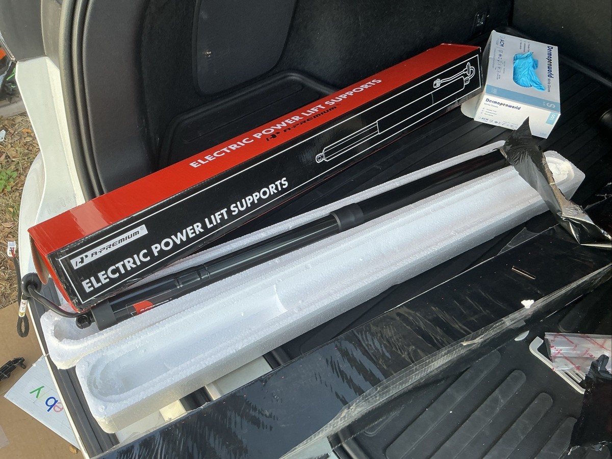 2016-2019 Lexus RX350 Rear Tailgate Power Hatch Lift Support Set